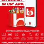 Pagina 17