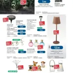 Pagina 33