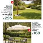 Pagina 26