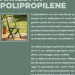 Pagina 62
