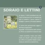 Pagina 70