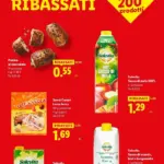 Pagina 31