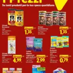 Pagina 26