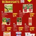 Pagina 13