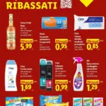 Pagina 33