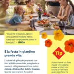 Pagina 15