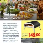 Pagina 16