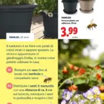 Pagina 19