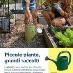 Pagina 20
