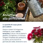Pagina 35