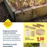 Pagina 38