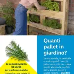 Pagina 43