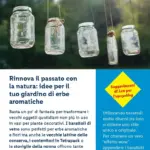 Pagina 45