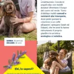 Pagina 55
