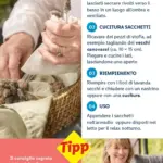 Pagina 59