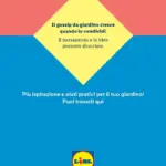 Pagina 68