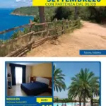 Pagina 11
