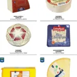 Pagina 72