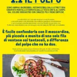 Pagina 13