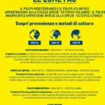 Pagina 14