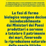 Pagina 16