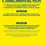 Pagina 17