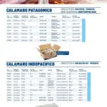 Pagina 22