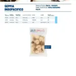 Pagina 23