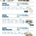 Pagina 24