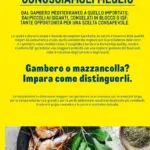 Pagina 28