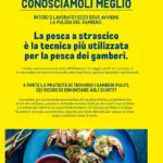 Pagina 29