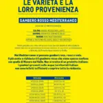 Pagina 31
