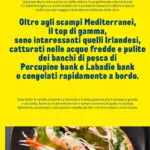 Pagina 36