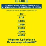 Pagina 37