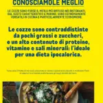 Pagina 41