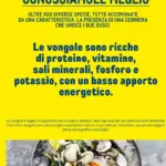 Pagina 42