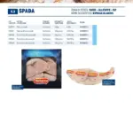 Pagina 47