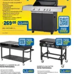 Pagina 45