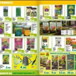 Pagina 11