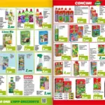 Pagina 12