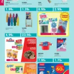 Pagina 20